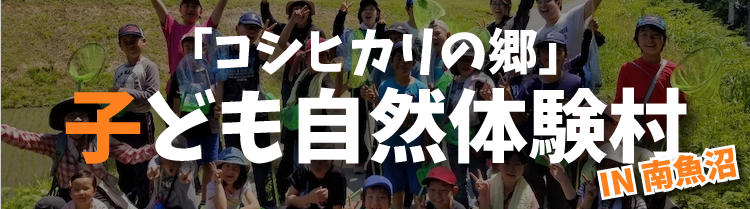 コシヒカリの郷子ども自然体験村ブログ