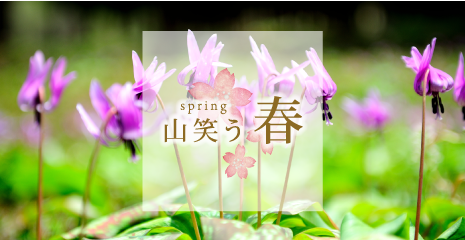 spring 山笑う春