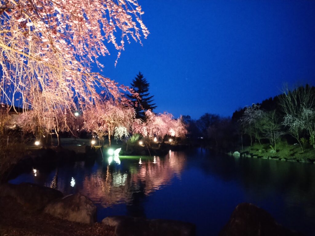 【銭淵公園・観桜会】六日町の桜スポットのご紹介 | NPO法人 六日町観光協会【公式】